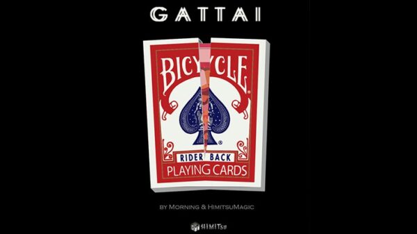 Gattai by Morning & Himitsu Magic