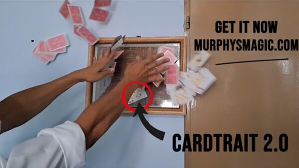 Cardtrait 2.0 (Stage Version) by Guillermo Dech