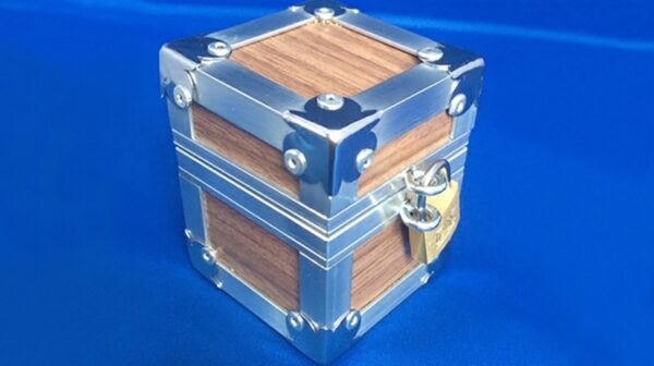 Flight Case by Leo Smetsers