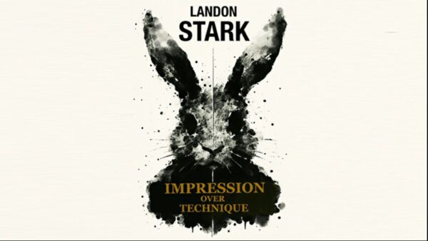 Impression Over Technique by Landon Stark
