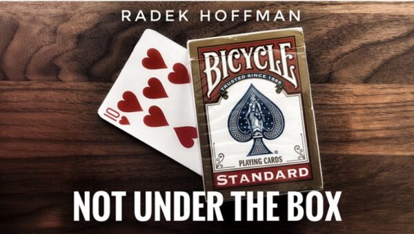 Not Under the Box by Radek Hoffman.